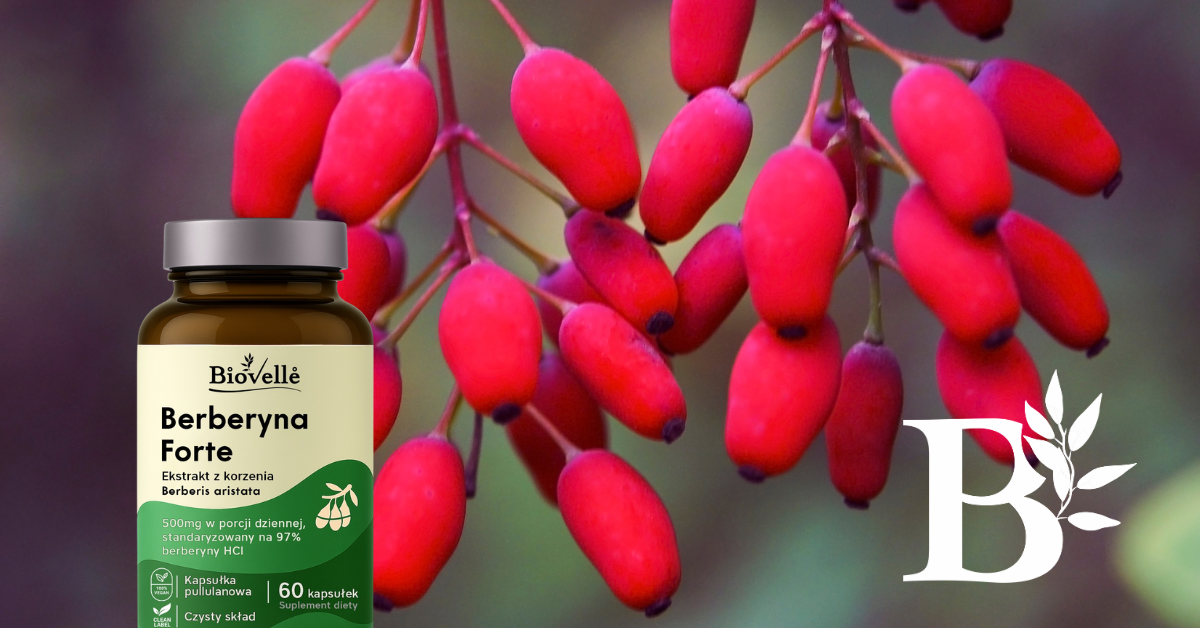 Berberyna z Chromem – Naturalne Wsparcie dla Metabolizmu i Kontroli Glikemii